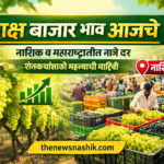 DrakshBajarBhav द्राक्ष बाजारात मोठी दरवाढ; छत्रपती संभाजीनगरमध्ये १९ हजारांचा टप्पा, मुंबईतही दरांची भक्कम साथ