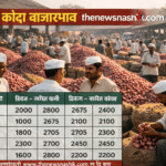 Aajcha Kanda Bhav नाशिक, सोलापूर आणि पुणे बाजार समितीत कांद्याला किती मिळाला दर?  रिपोर्ट!
